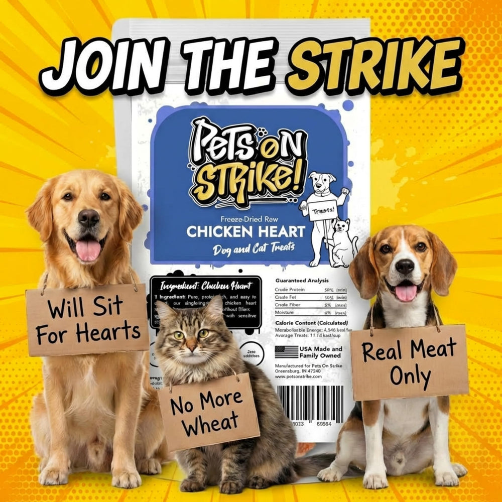 PETS ON STRIKE coeurs de poulet séchés — origine USA affichée pour la traçabilité