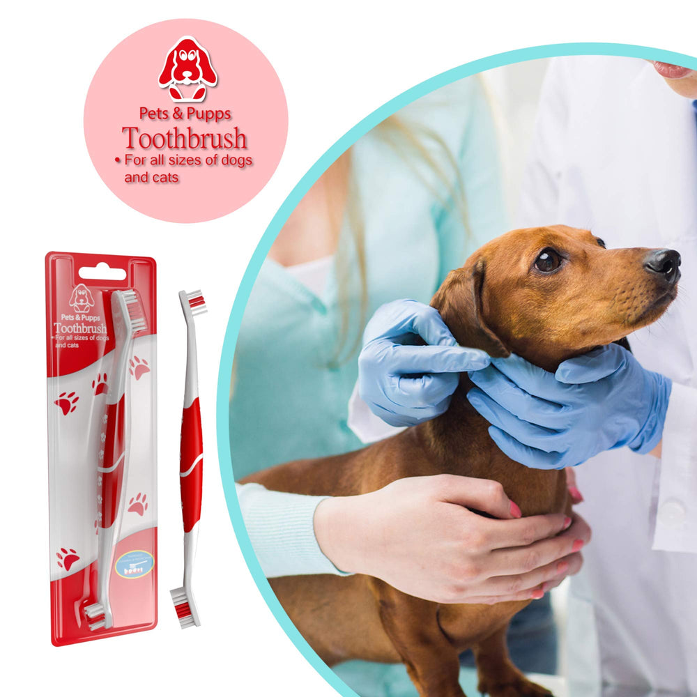 Accessoire dentaire Pets & Pupps pratique pour l’hygiène buccale des animaux.