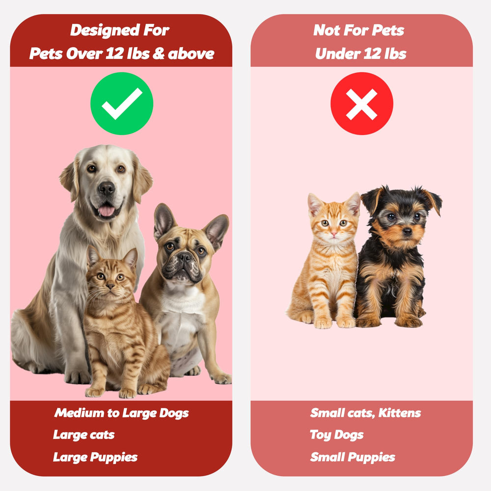 Pack de 4 brosses rouges Pets & Pupps prêt à l’emploi.