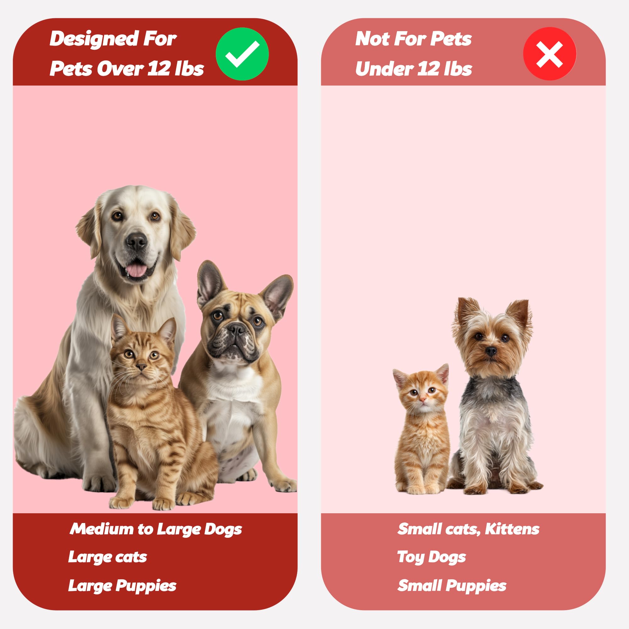 Poils ultra-doux Pets & Pupps respectant les gencives sensibles.