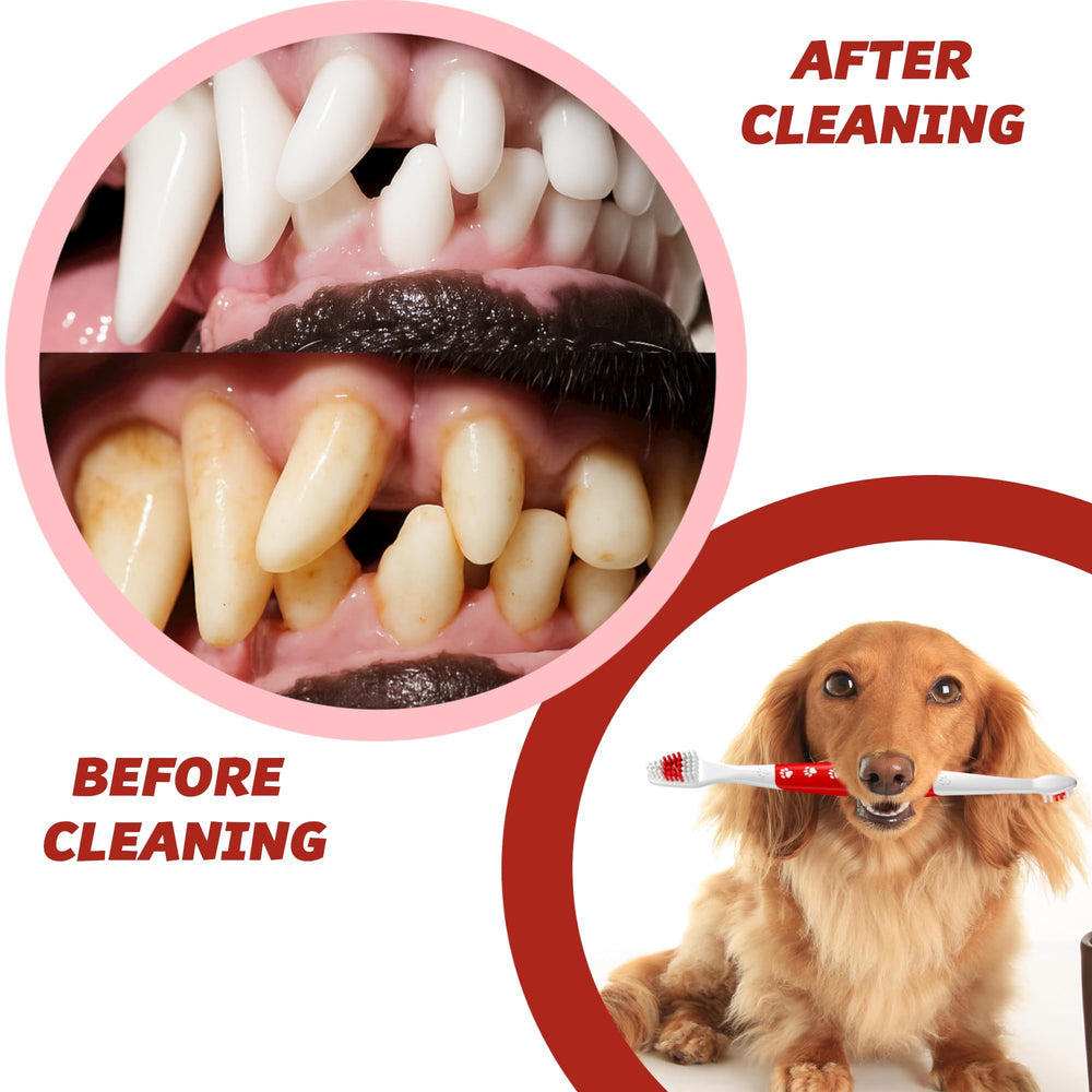 Brosse Pets & Pupps utilisable avec pâte dentifrice pour animaux (non incluse).
