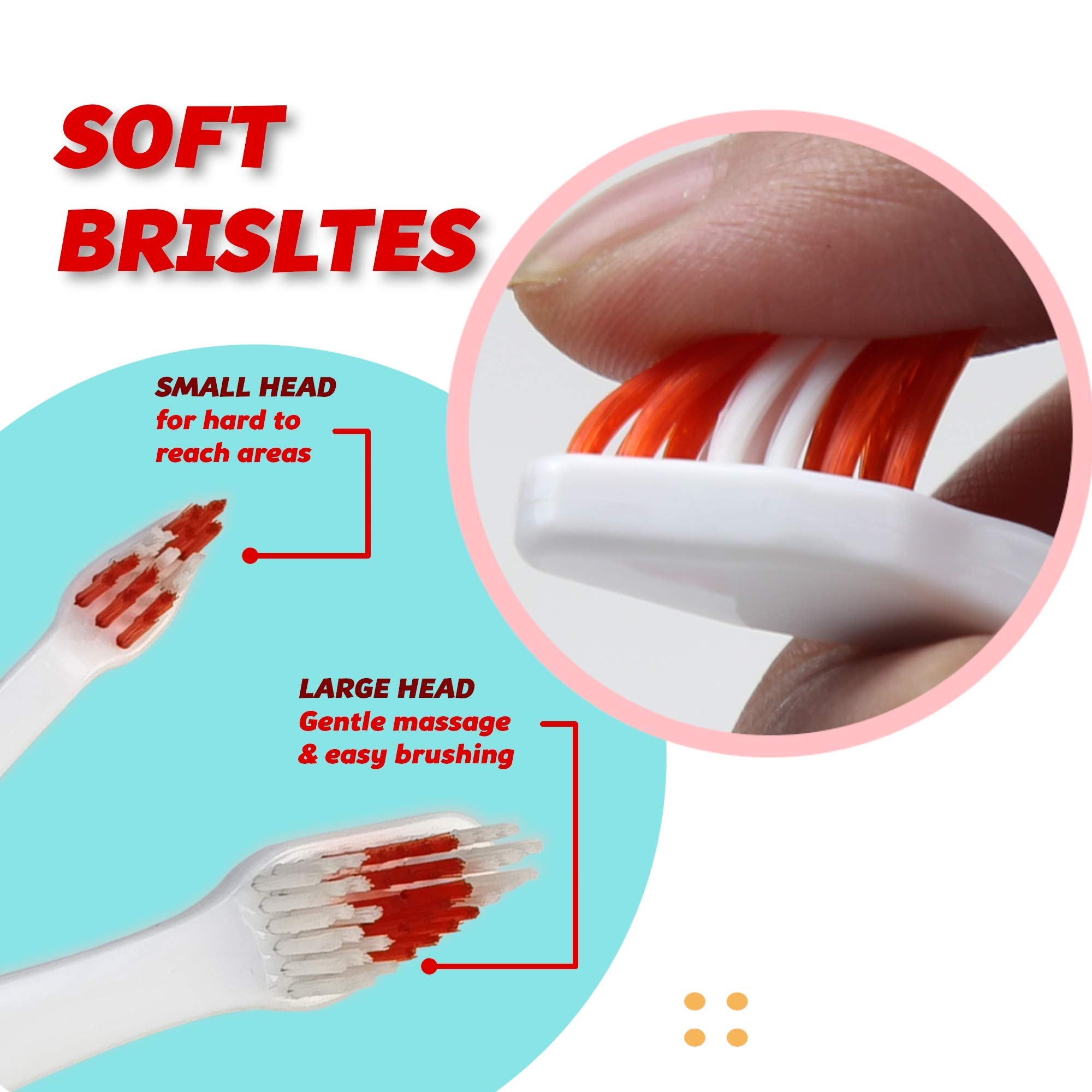 Brosse Pets & Pupps en action sur chien et chat, hygiène dentaire pratique.