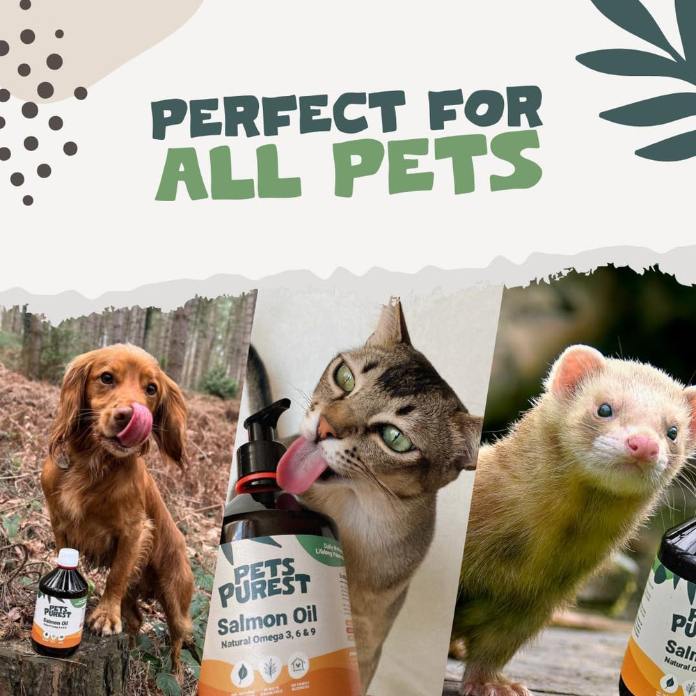 Articulations plus souples avec Pets Purest huile saumon, complément naturel.