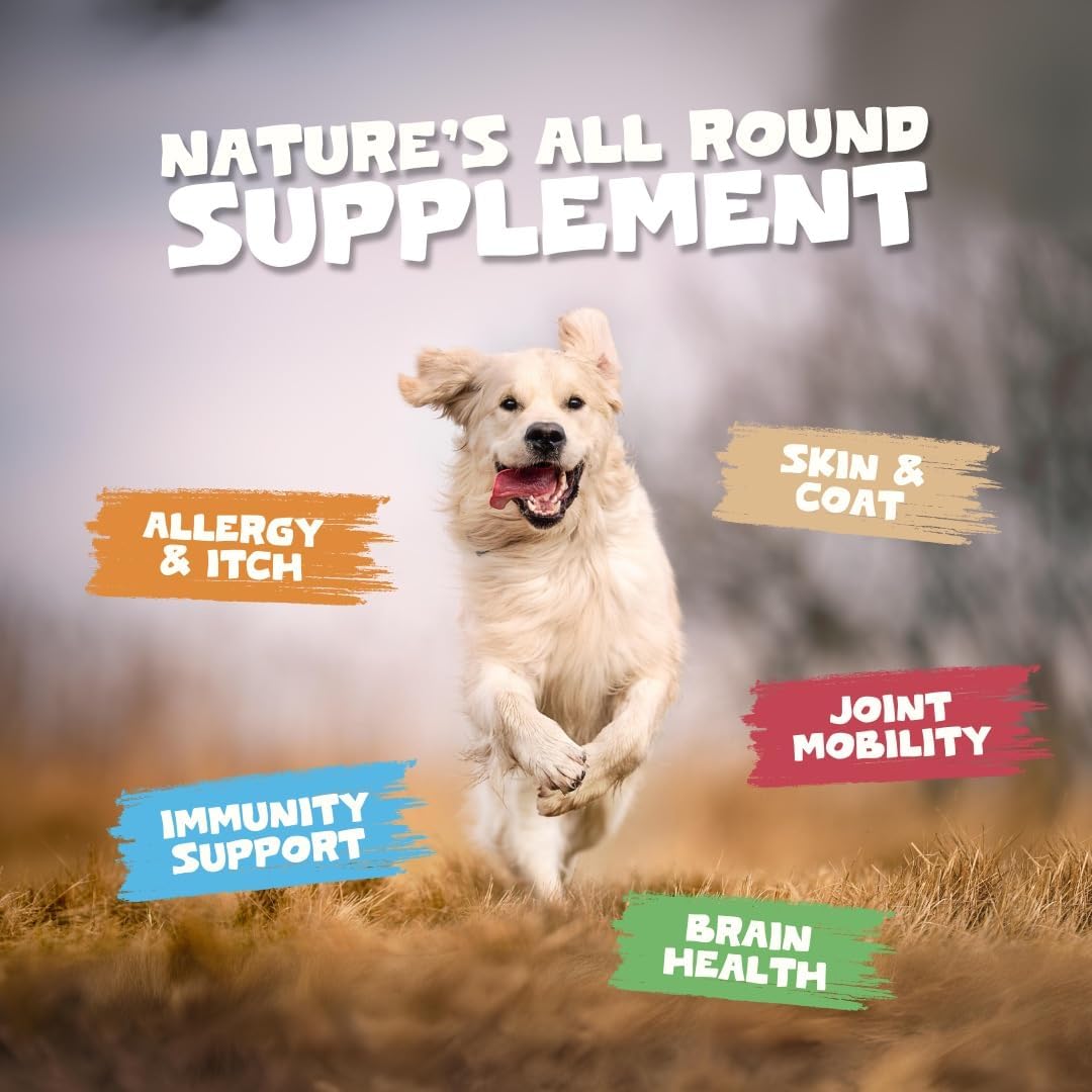 Pets Purest huile saumon, dosage pratique pour chiens et chats, soutien pelage.