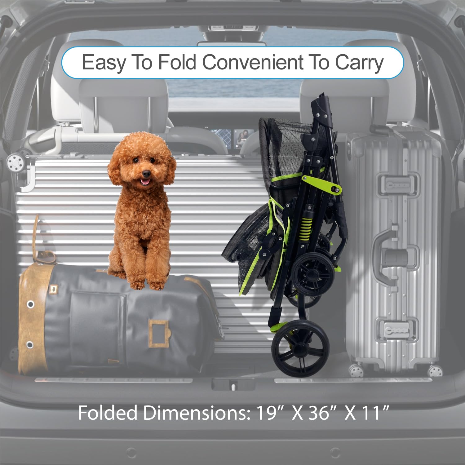 PETS TUFF Buddy Buggies — grand panier de stockage sous le châssis pour vos essentiels