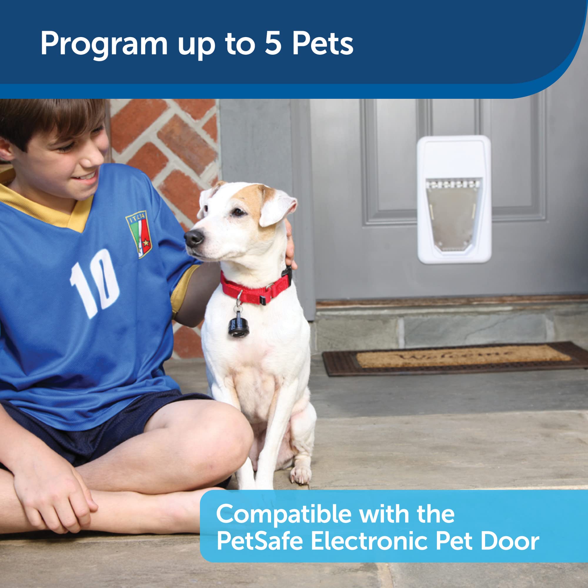 Alimentation par piles D pour porte animale Petsafe, utilisation pratique.