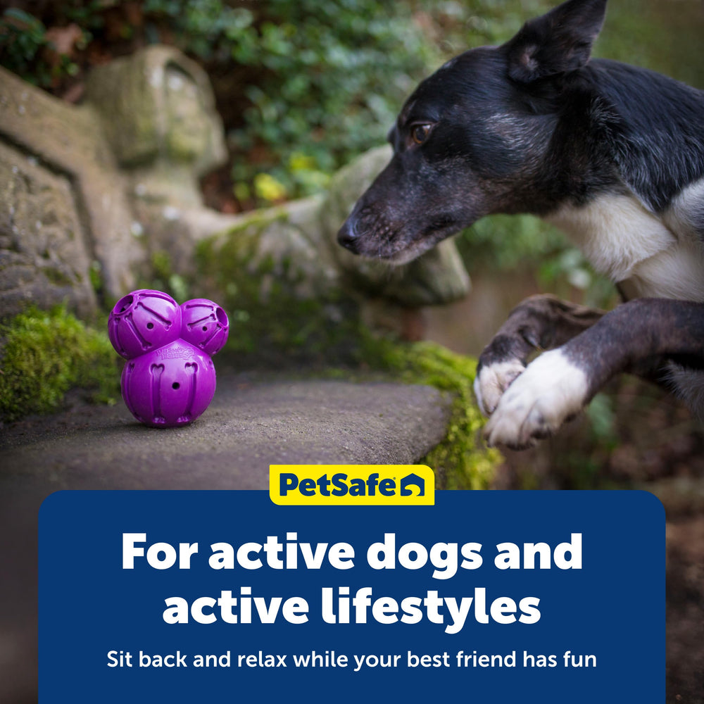 PetSafe Barnacle durable caoutchouc sans BPA pour mâcheurs actifs.
