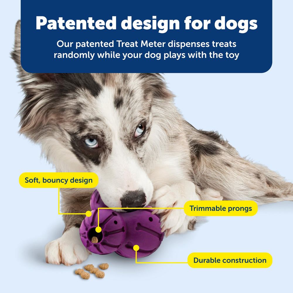 PetSafe Barnacle, nettoyage-lave-vaisselle: nettoyage facile après des sessions intenses