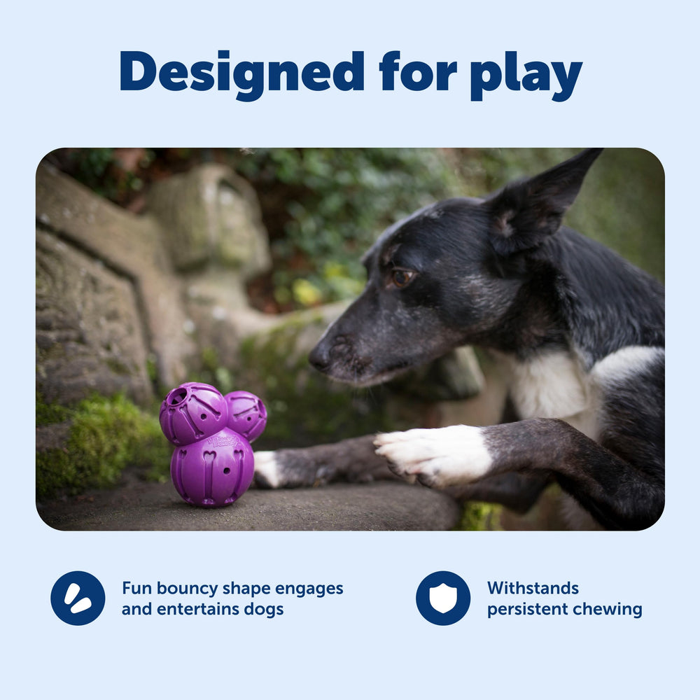 PetSafe Barnacle, systeme-trait-meter: contrôle des friandises pour séances intelligentes et variées