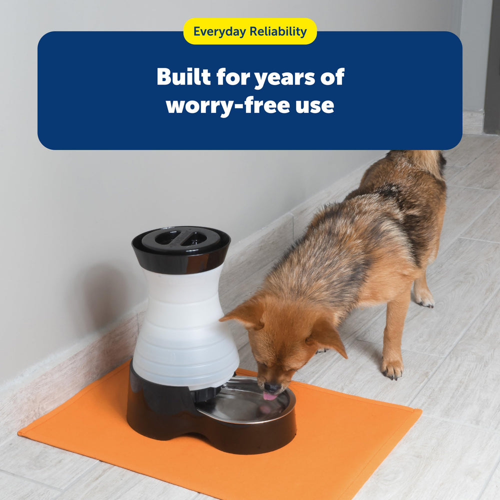 Bol PetSafe lavable au lave-vaisselle pour un entretien simplifié.