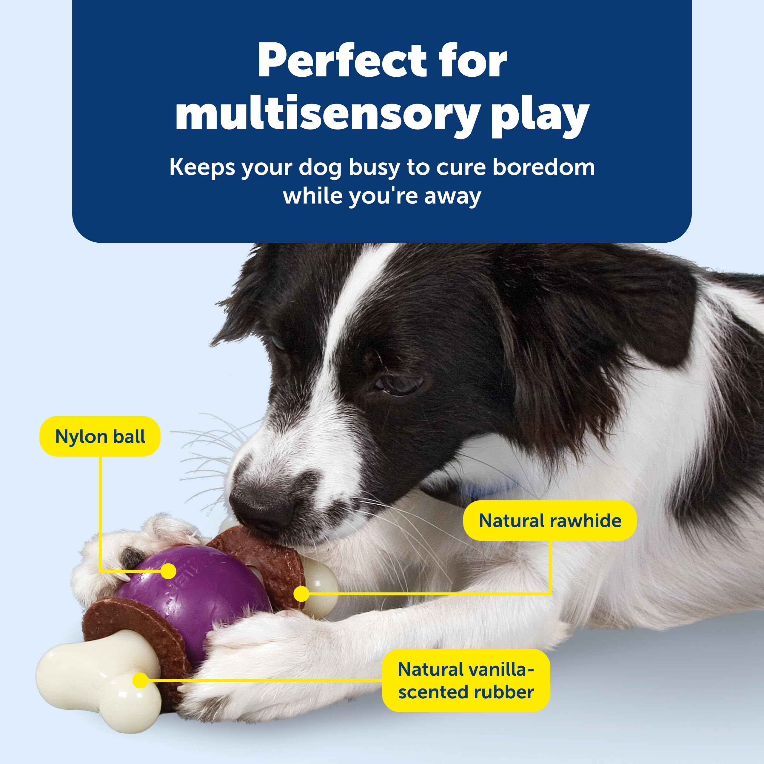PetSafe Busy Buddy Bouncy Bone – chien utilisant le jouet contre l’ennui.