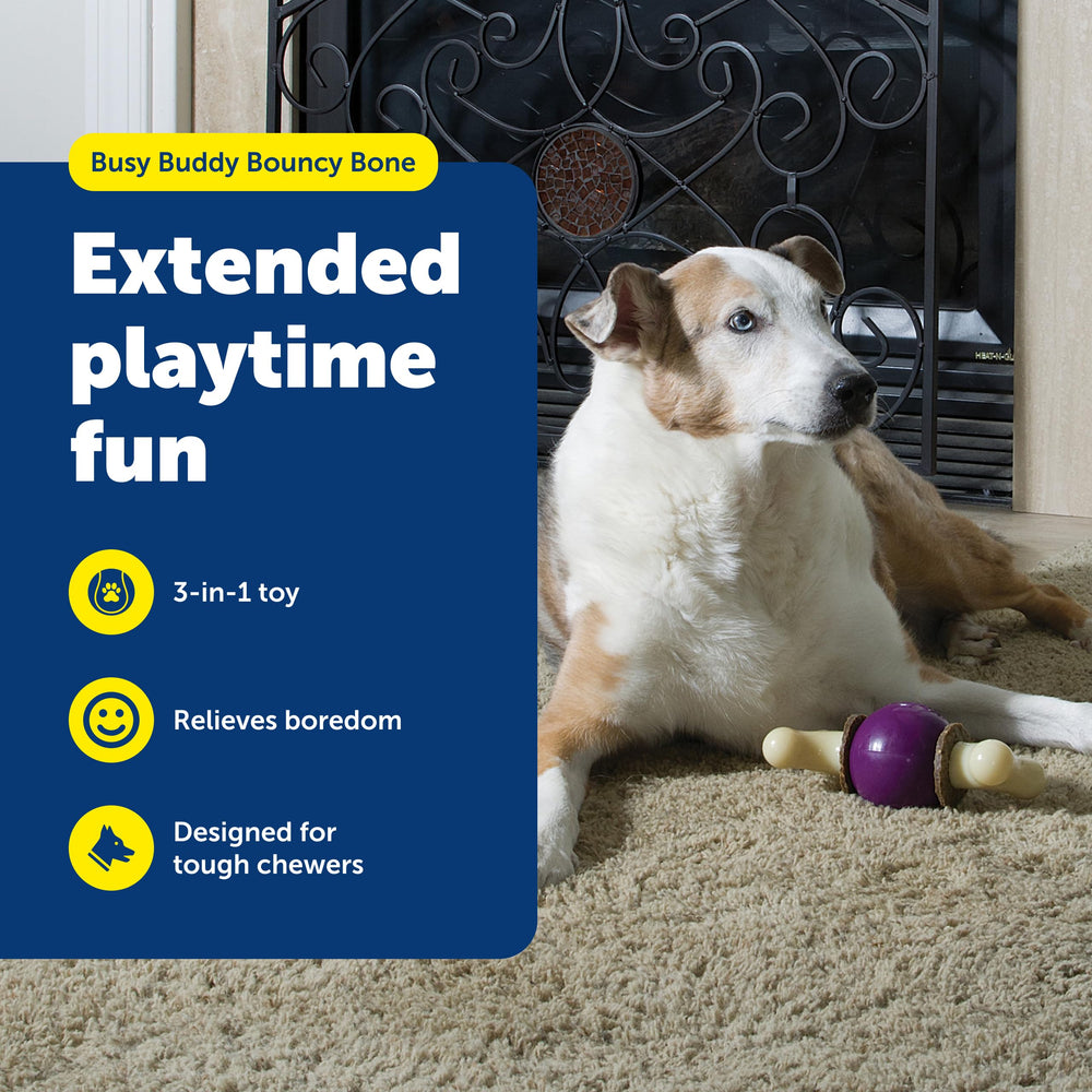 PetSafe Busy Buddy Bouncy Bone – gros plan sur l’os en nylon durable.