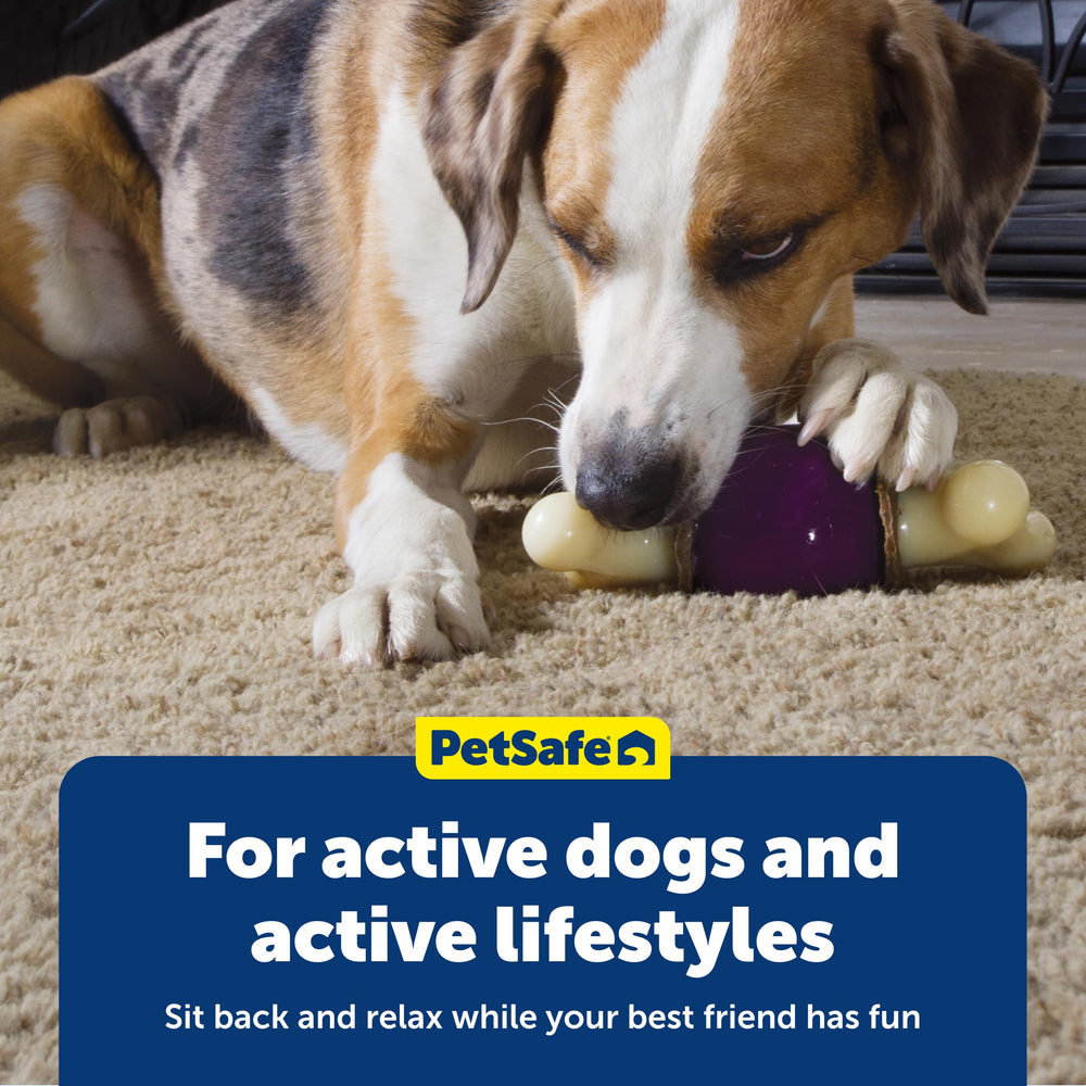 PetSafe Busy Buddy Bouncy Bone – matériaux sans BPA et sûrs pour les chiens.
