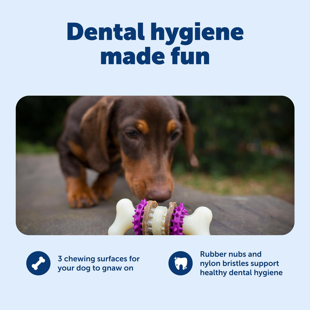 Matériaux durables en nylon et caoutchouc adaptés aux mâcheurs forts.