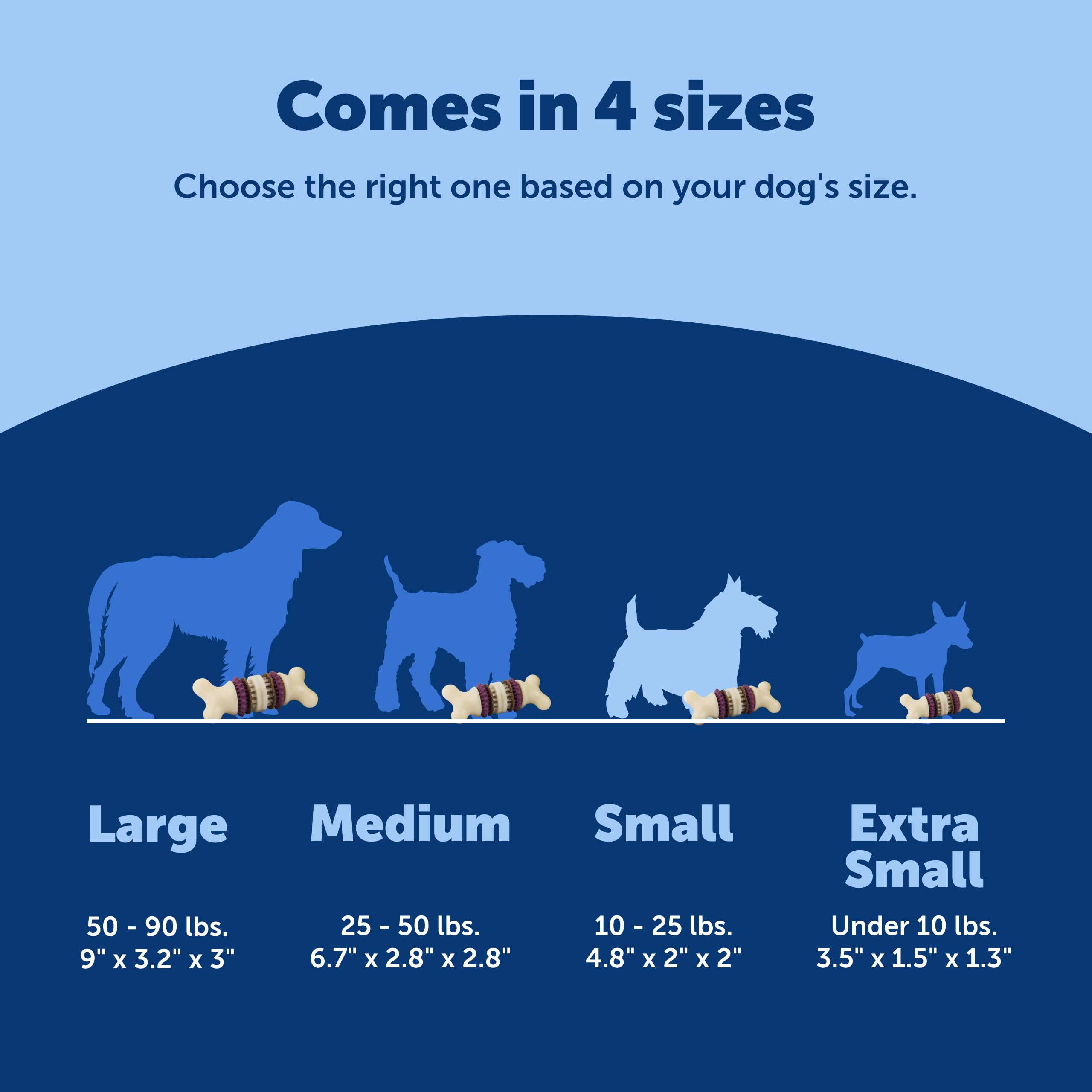 PetSafe Bristle Bone: compatible lave-vaisselle pour un nettoyage rapide.