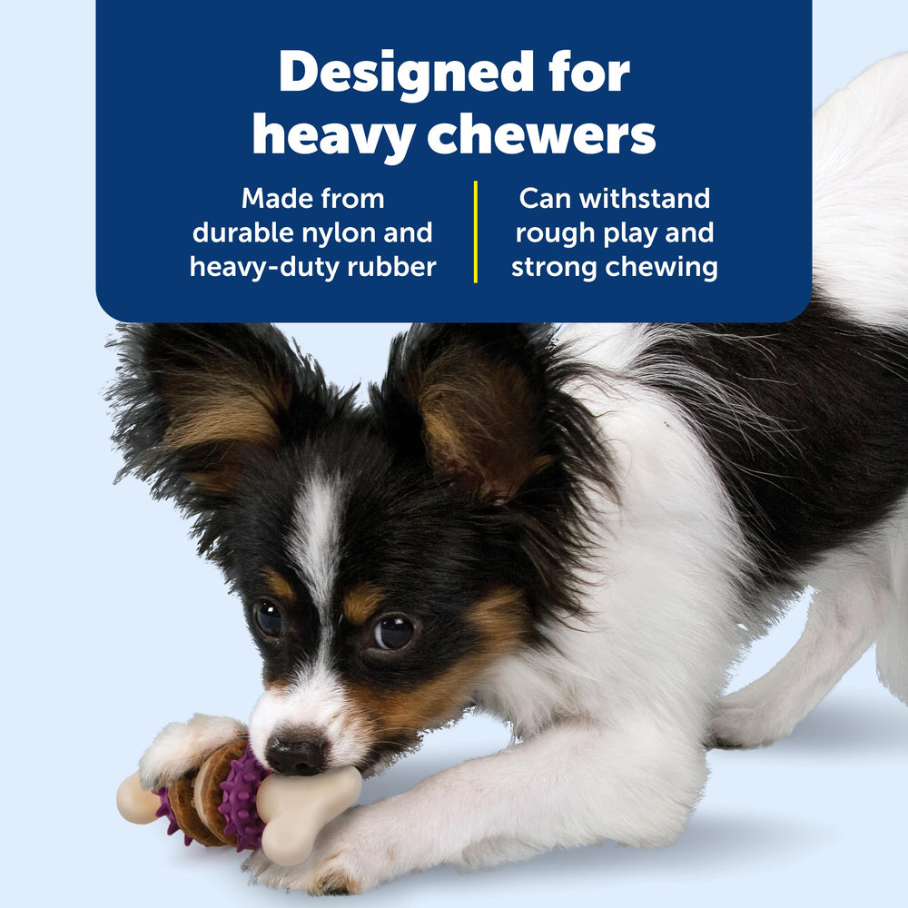 PetSafe Bristle Bone: anti-ennui et jeu interactif avec friandises intégrées.