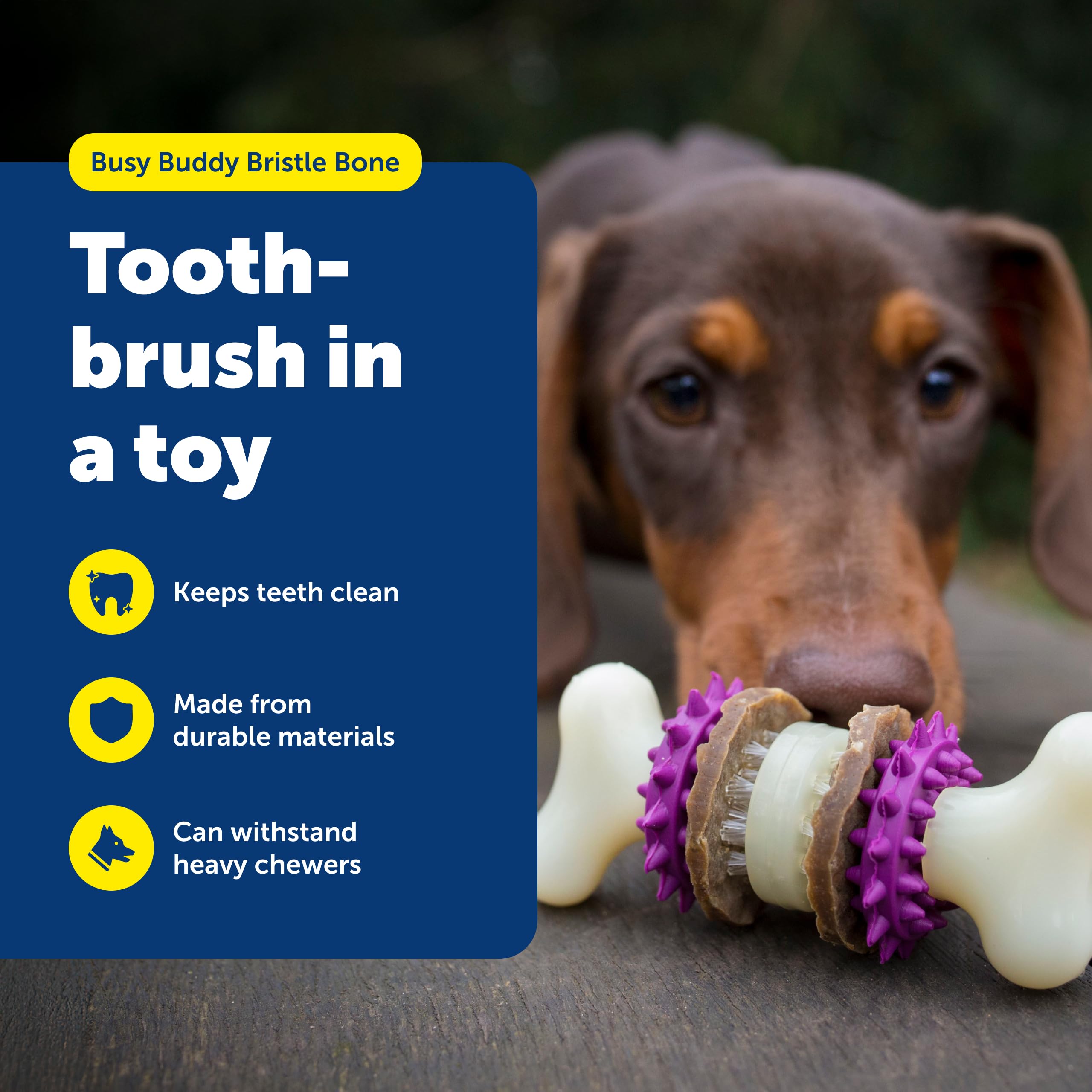 PetSafe Bristle Bone: stimulation mentale et récompense grâce aux refils gourmets.