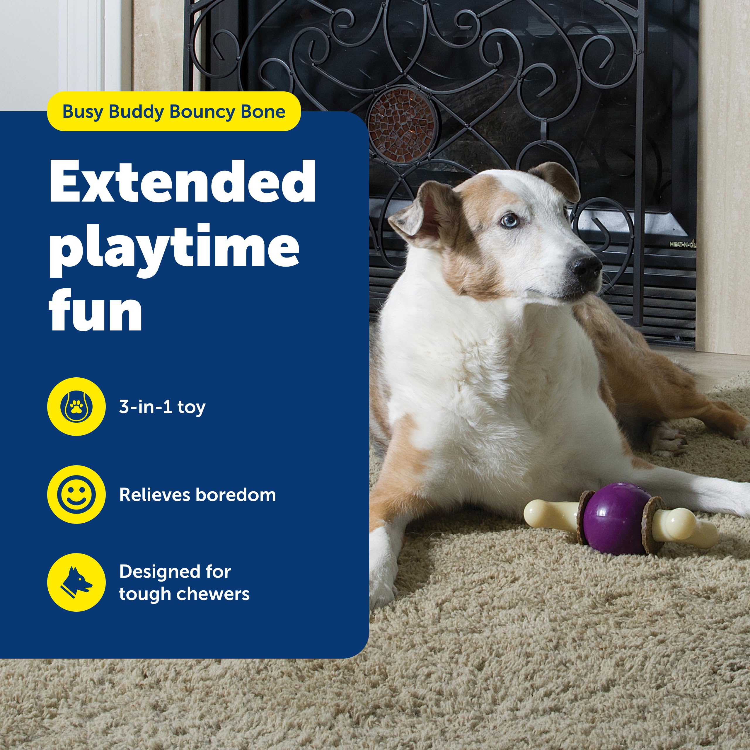 PetSafe Busy Buddy Bouncy Bone – anneaux remplissables pour friandises.