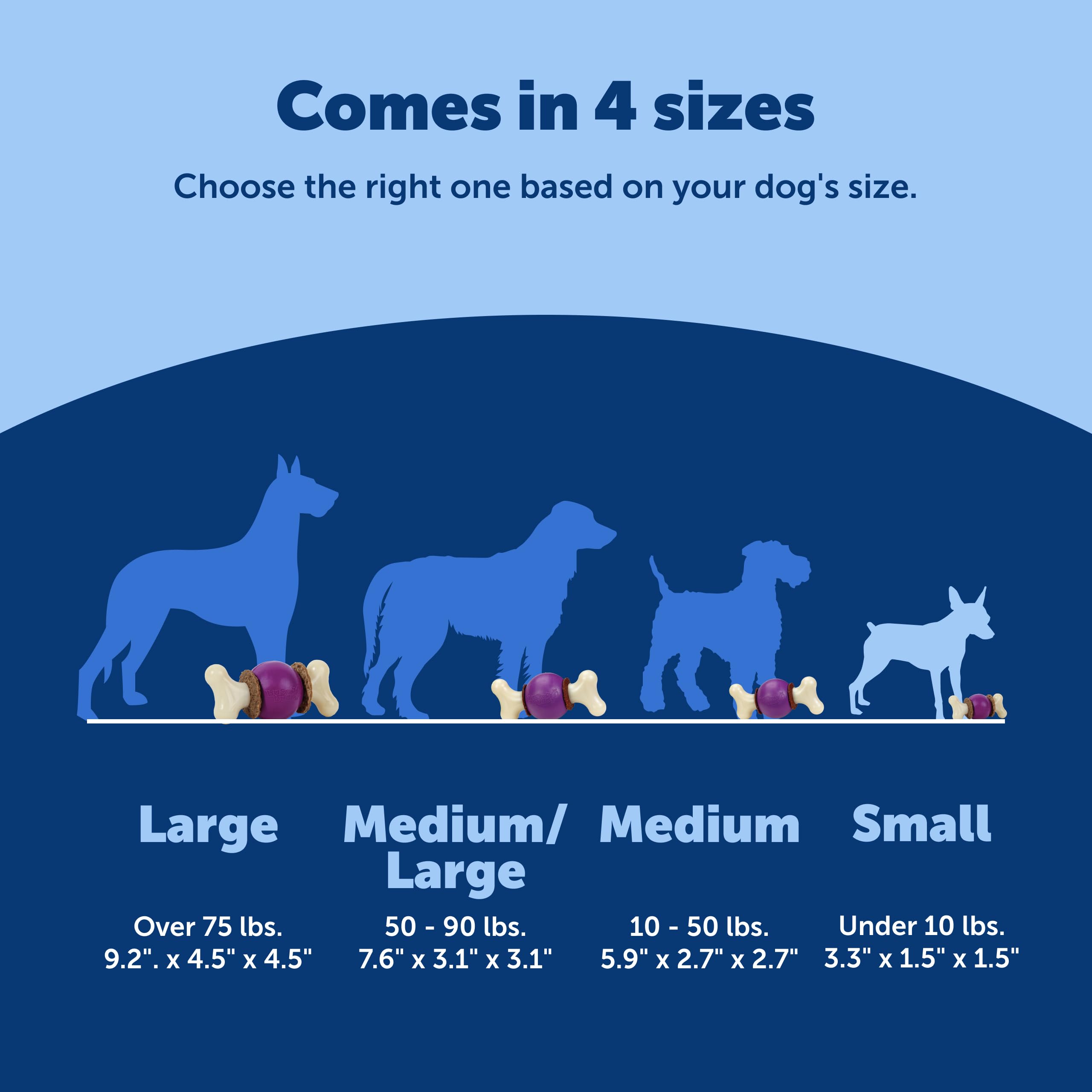 PetSafe Busy Buddy Bouncy Bone – anti-ennui et stimulation mentale.