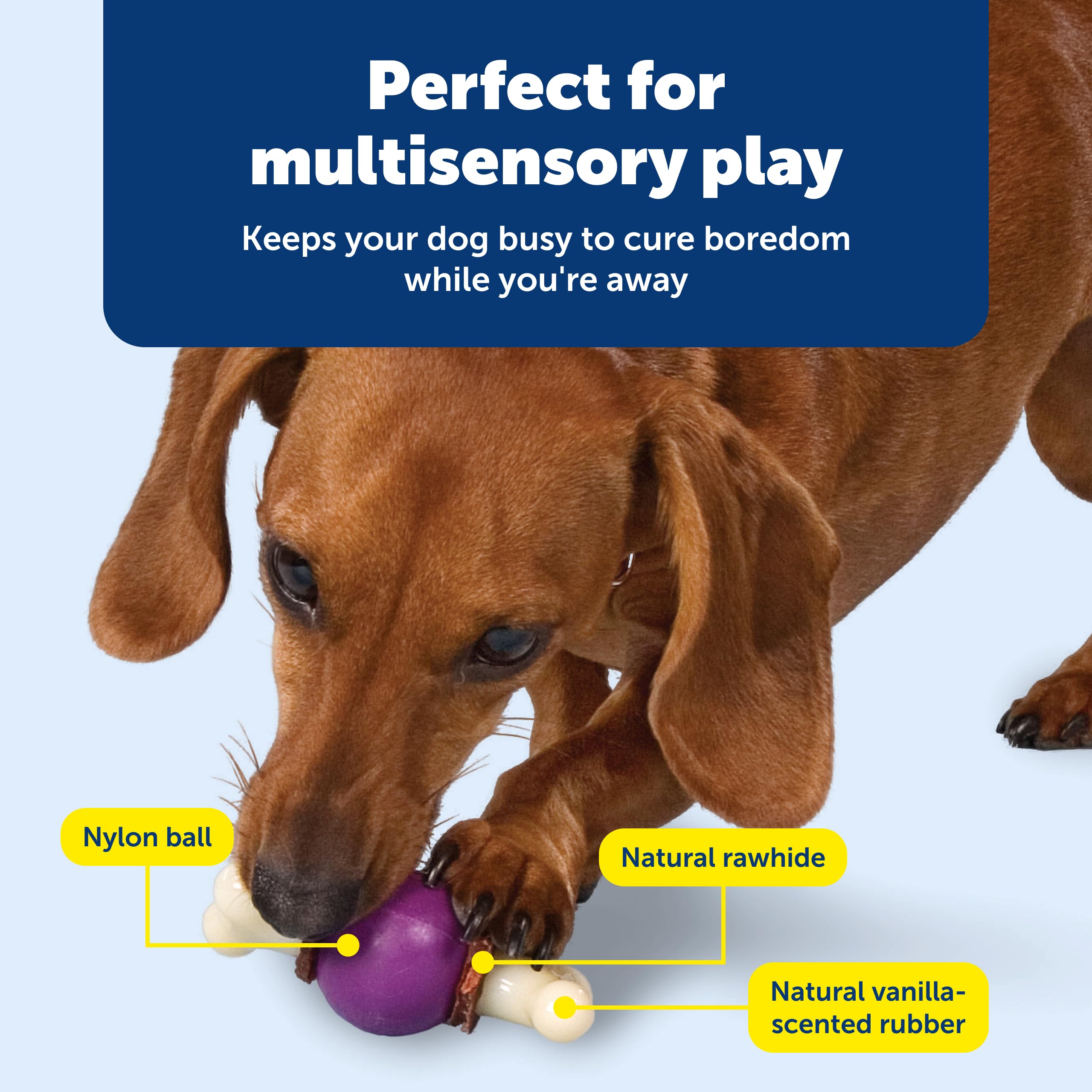 PetSafe Busy Buddy Bouncy Bone – caoutchouc vanillé, texture agréable.