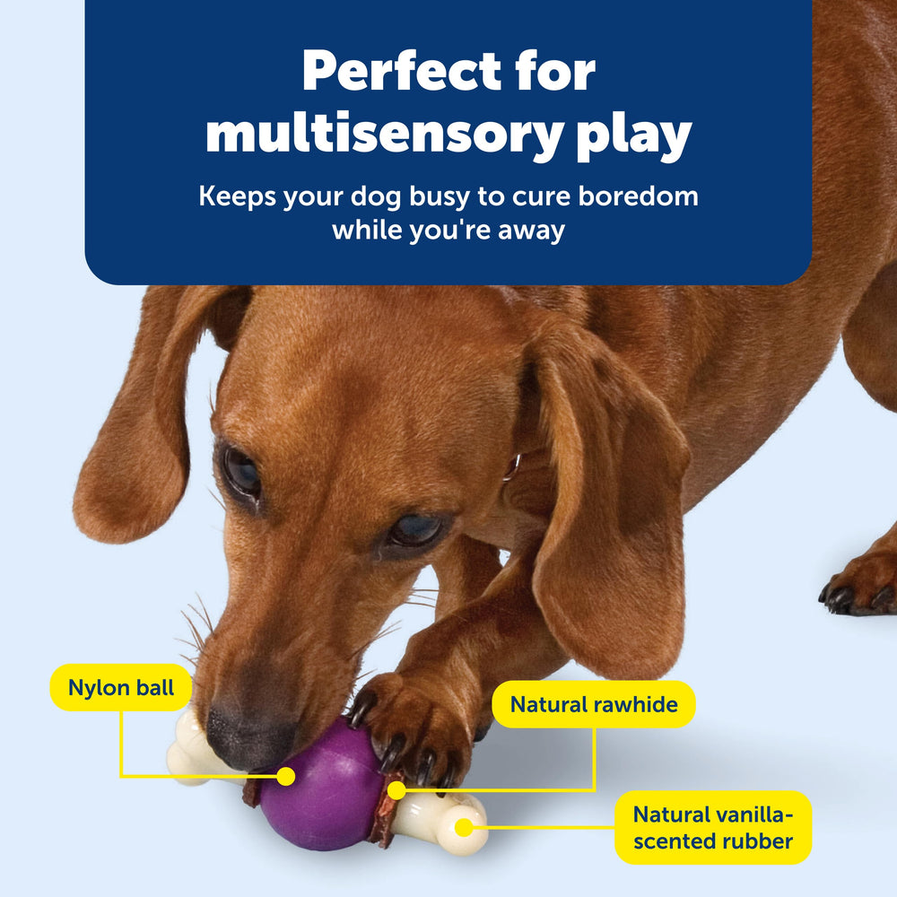 PetSafe Busy Buddy Bouncy Bone – caoutchouc vanillé, texture agréable.