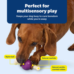 PetSafe Busy Buddy Bouncy Bone – caoutchouc vanillé, texture agréable.
