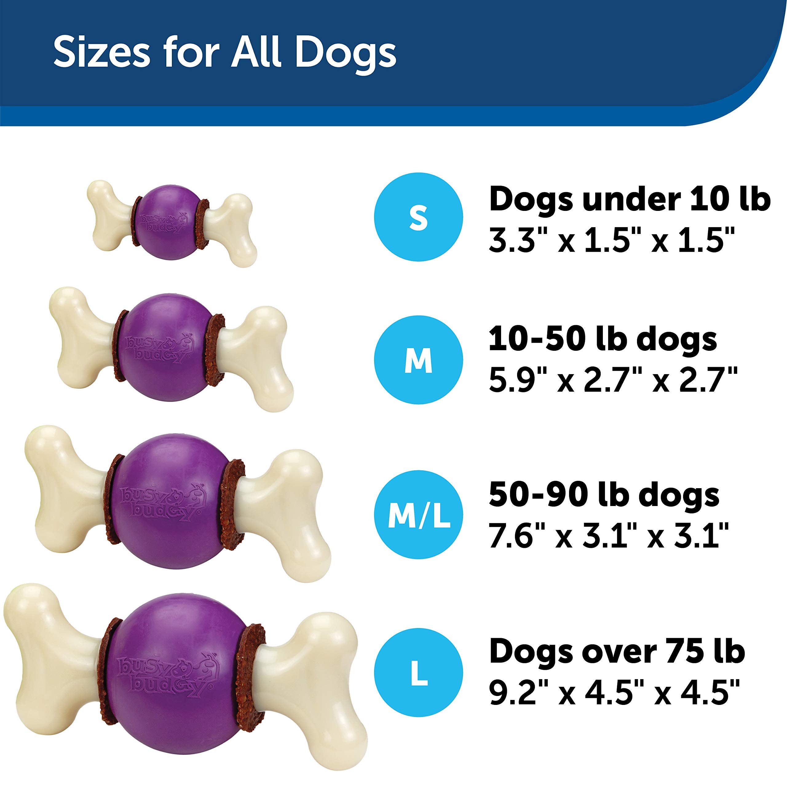 PetSafe Busy Buddy Bouncy Bone – mordillage durable pour une occupation longue