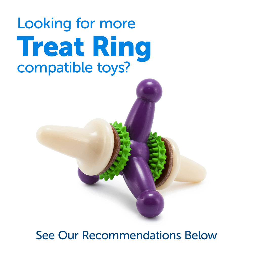 PetSafe Busy Buddy Chien heureux et engagé pendant le jeu.