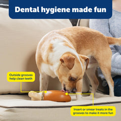 Caoutchouc sans BPA, sûr et durable pour des sessions de mastication quotidiennes.