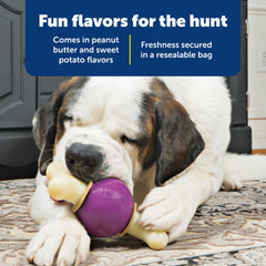 PetSafe Busy Buddy compatibilité taille C: convient au jouet pour des sessions prolongées.