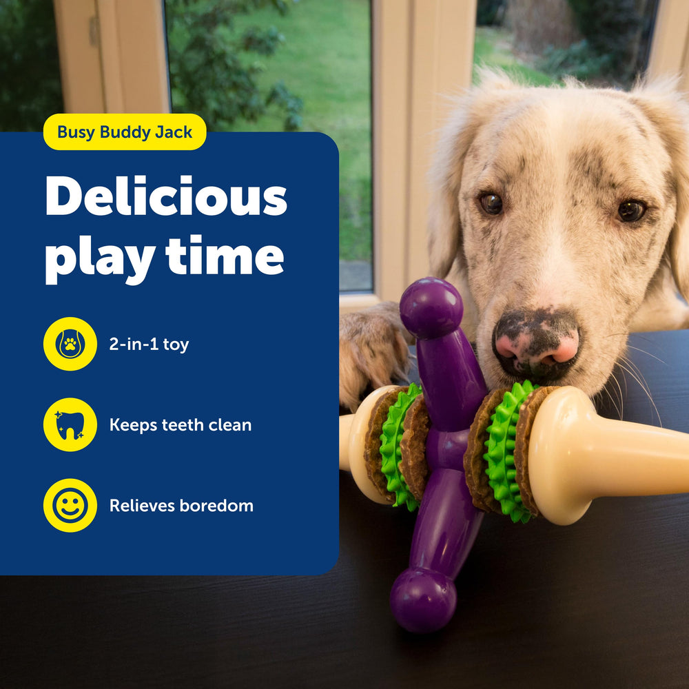 Jack de PetSafe avec anneaux de friandises remplaçables pour prolonger le jeu.