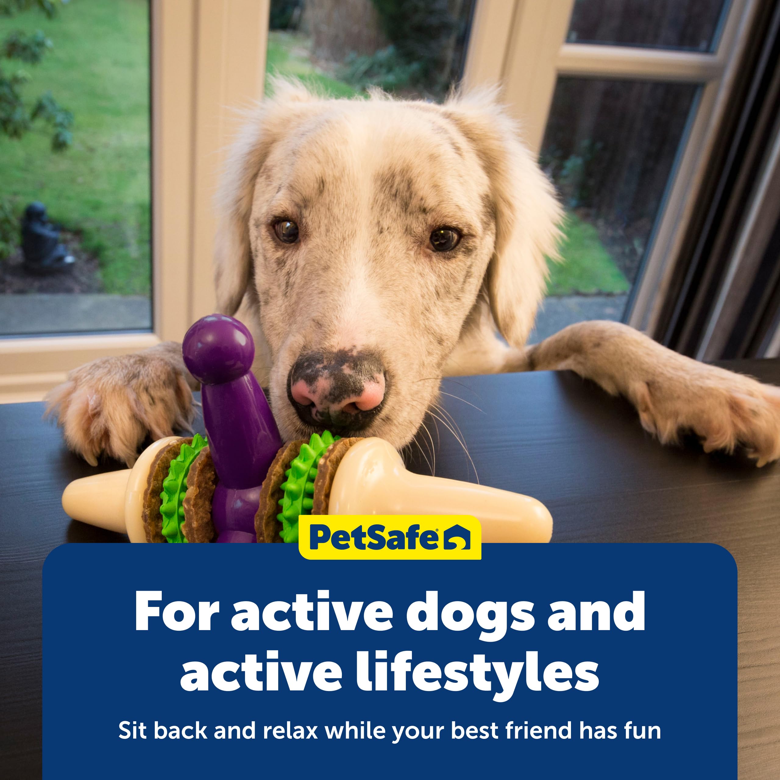 Nettoyage pratique : PetSafe Jack se lave au lave-vaisselle pour commodité.