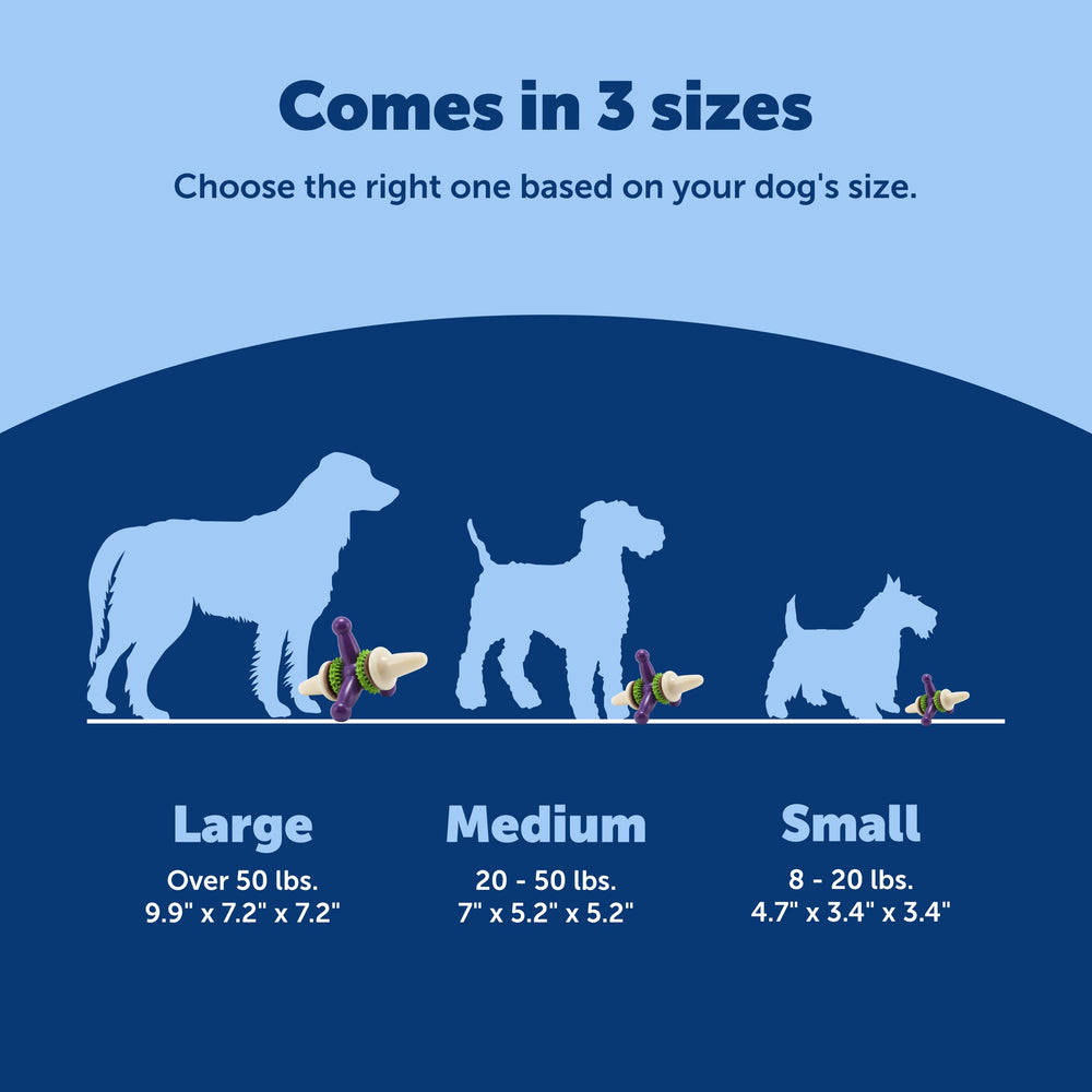 PetSafe Busy Buddy Jack - parfum vanille - ajoute de l'excitation lors des séances.