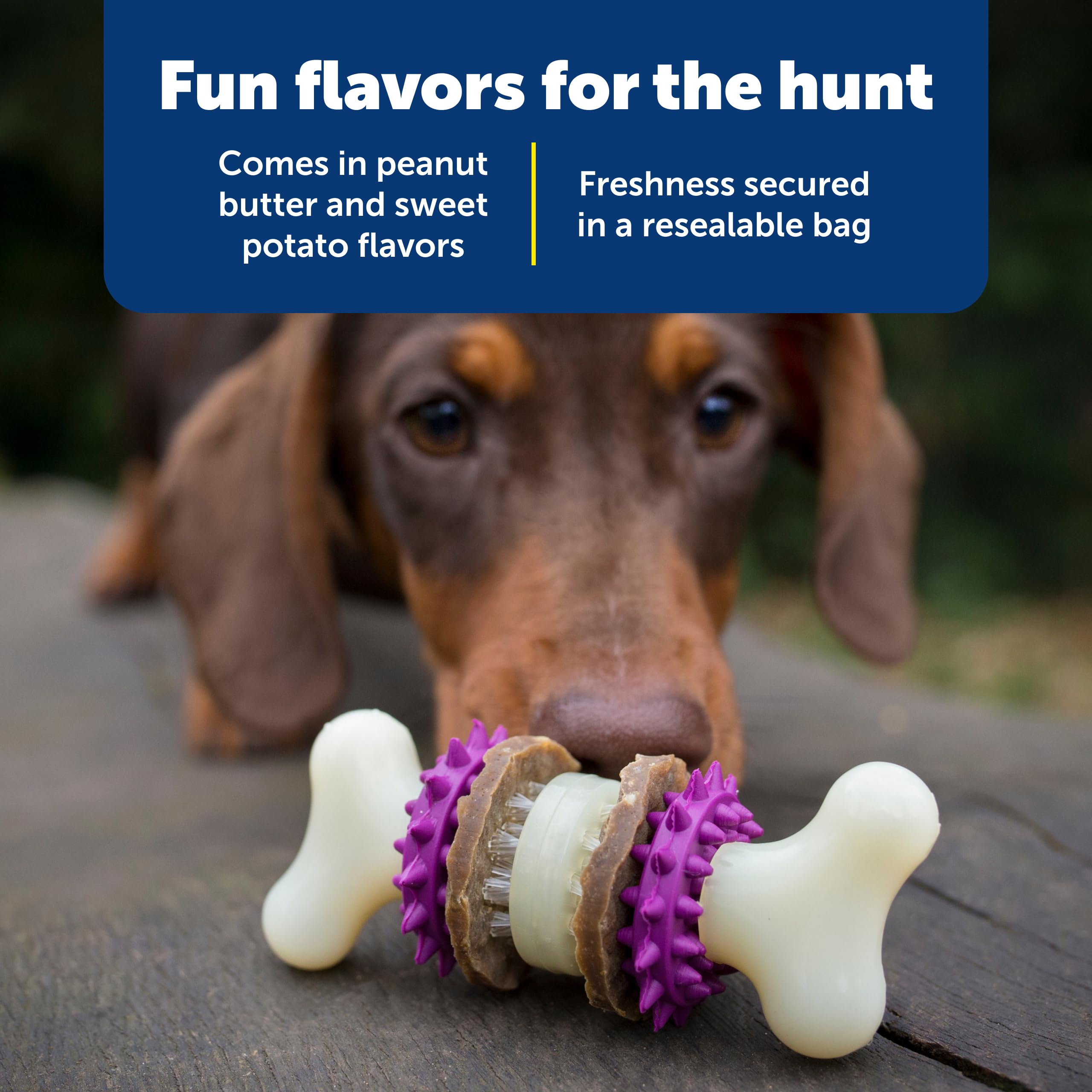 Jouet interactif PetSafe Busy Buddy favorise l'entraînement et l'amusement