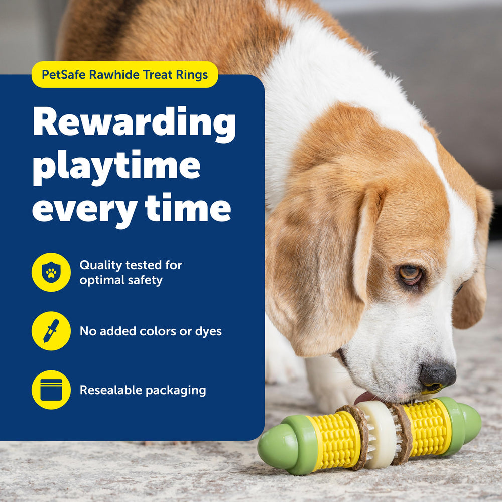PetSafe Busy Buddy, récharges longue durée pour fidéliser le jeu