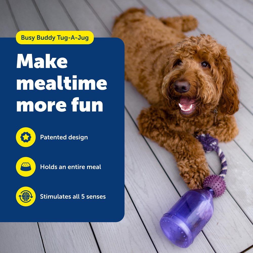 PetSafe Tug-A-Jug avec corde tressée robuste pour jeux et tirage.