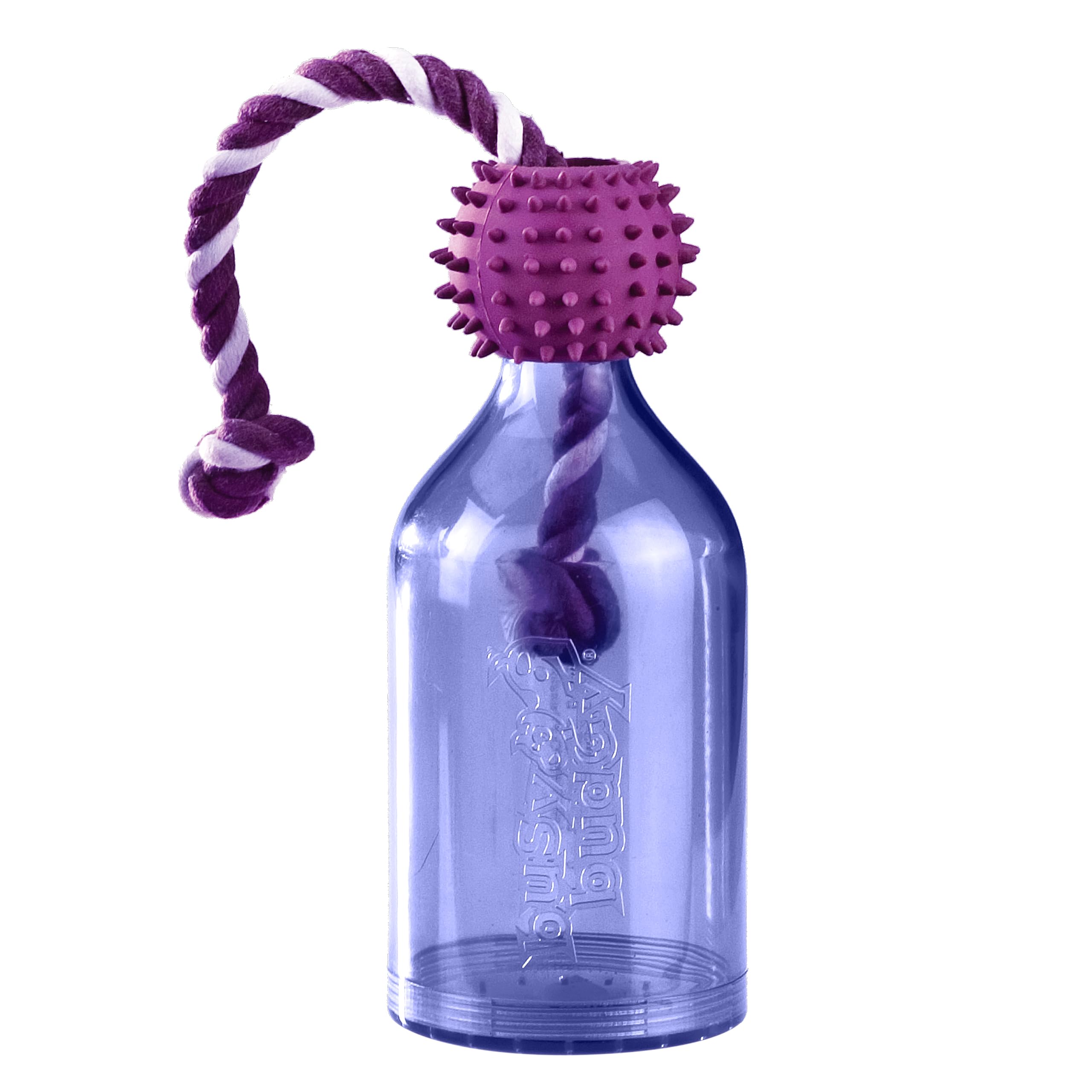 PetSafe Tug-A-Jug prêt à remplir avec des friandises pour stimulation mentale.