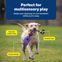 PetSafe Tug-A-Jug montre le mécanisme de distribution lente.