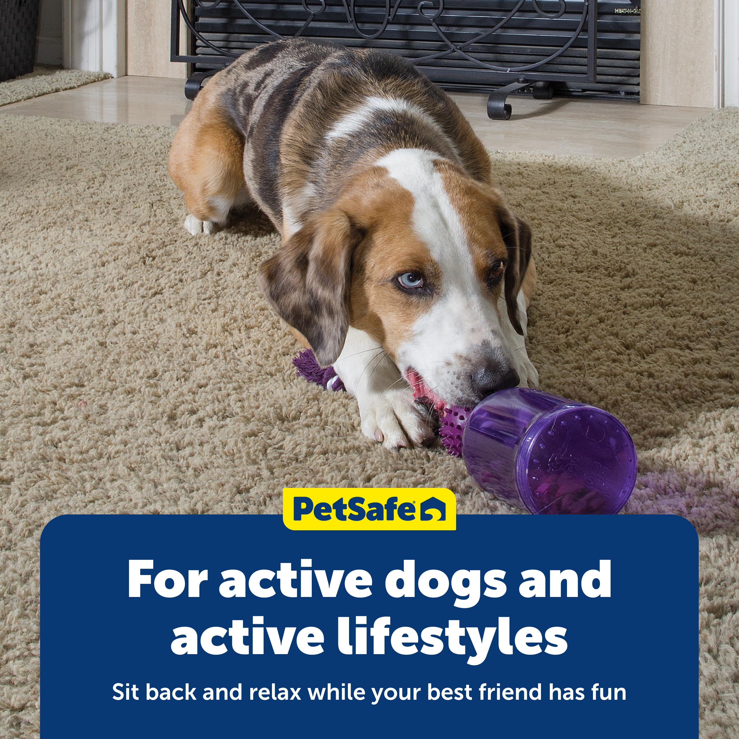 PetSafe Tug-A-Jug offre une expérience sensorielle pour chien curieux.