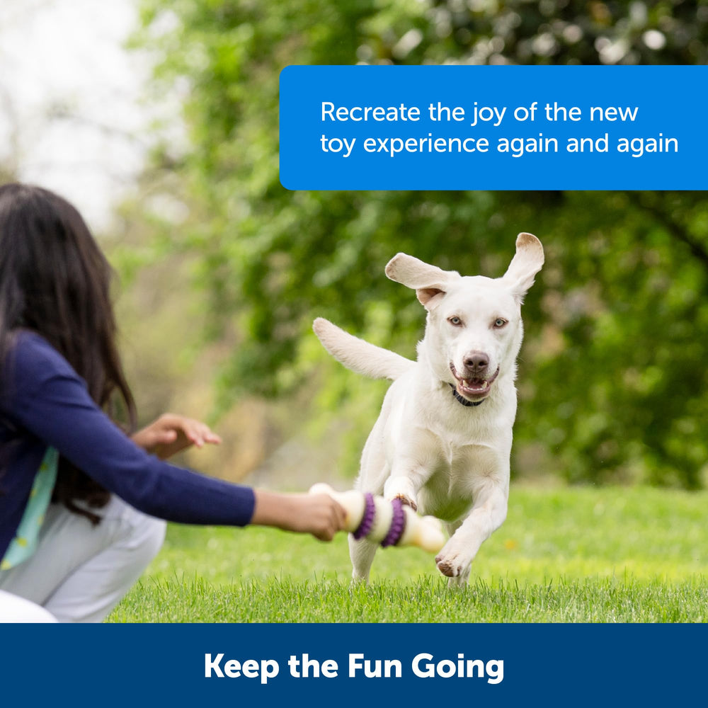 Utilisation recommandée de PetSafe Busy Buddy pour entraînement et récompense positive.