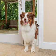 Cadre en aluminium PetSafe, robuste et résistant aux intempéries.