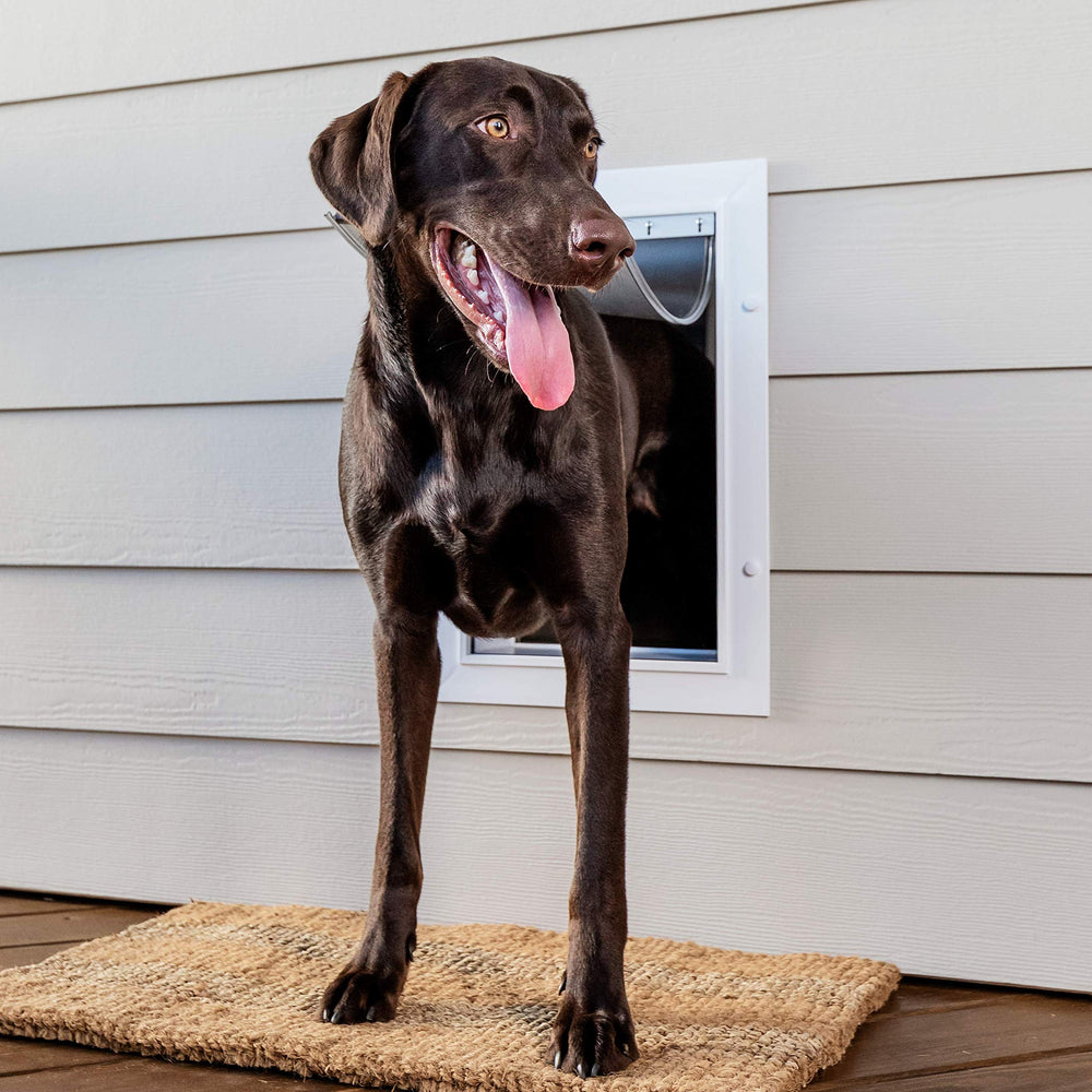 Cadre télescopique PetSafe – ajustable et durable pour murs variés.