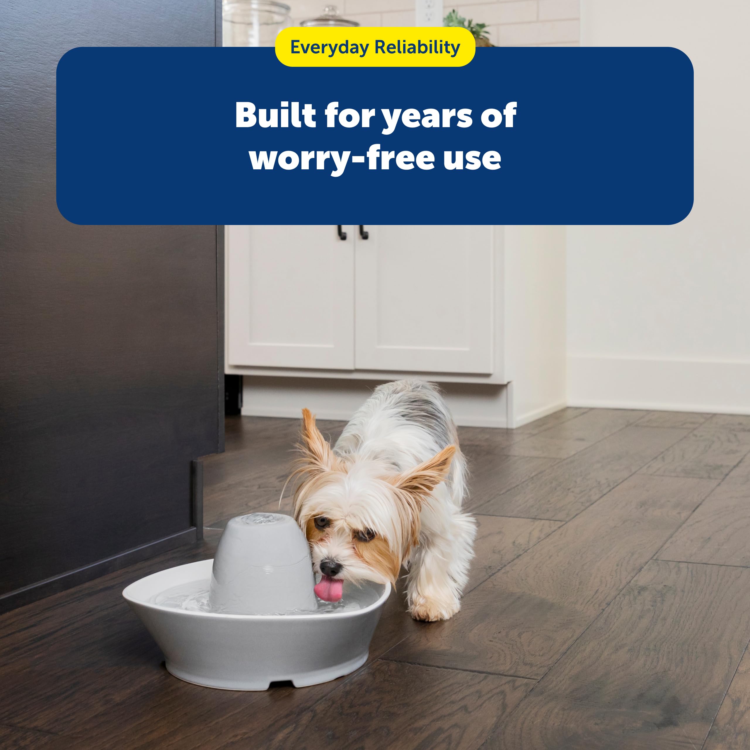 Capacité de 60 oz, idéale pour chats et petits chiens.