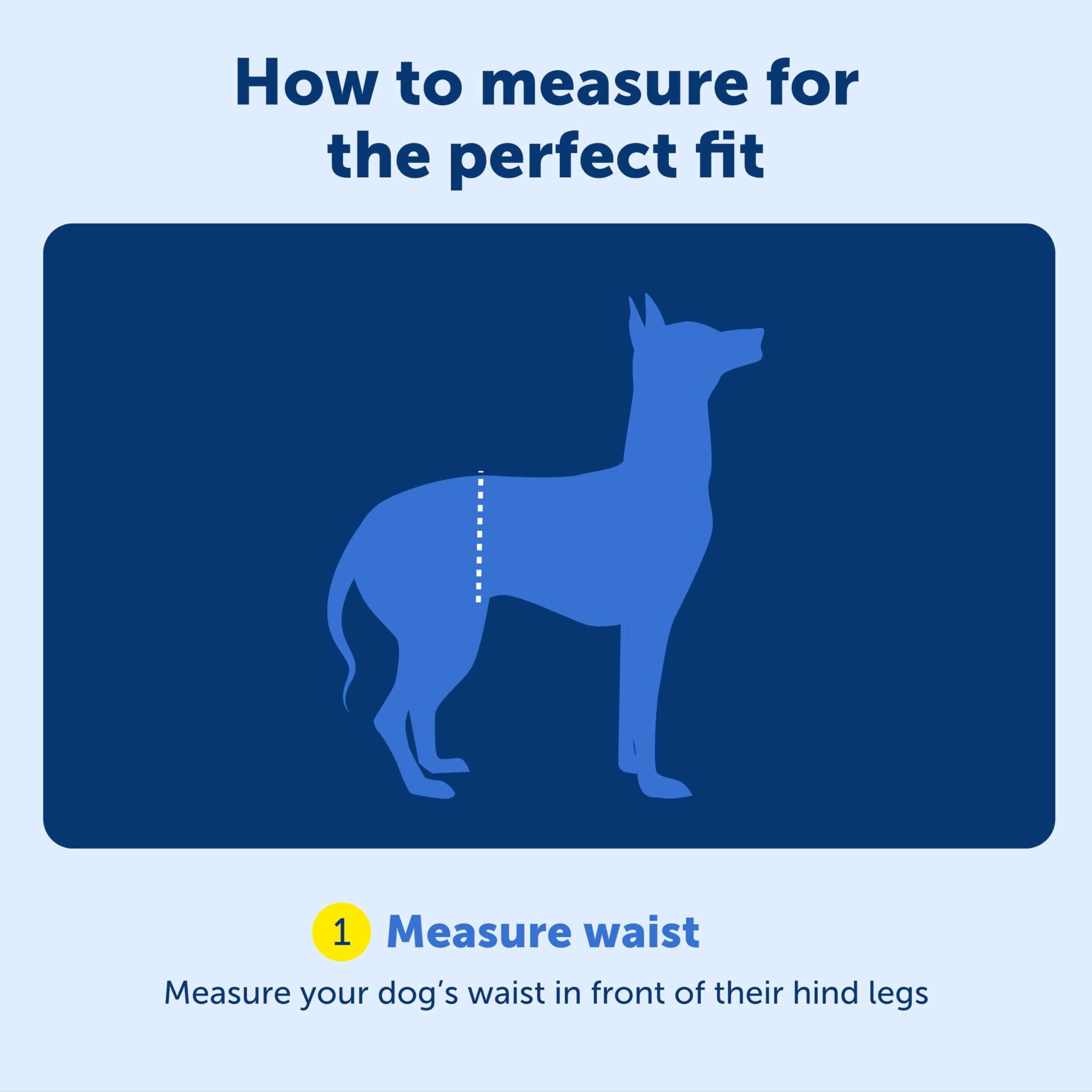 Taille ajustable PetSafe CareLift couvre 27–37 pouces pour un chien.
