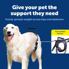 Extendeur de laisse PetSafe CareLift réduit la tension lors du levage.