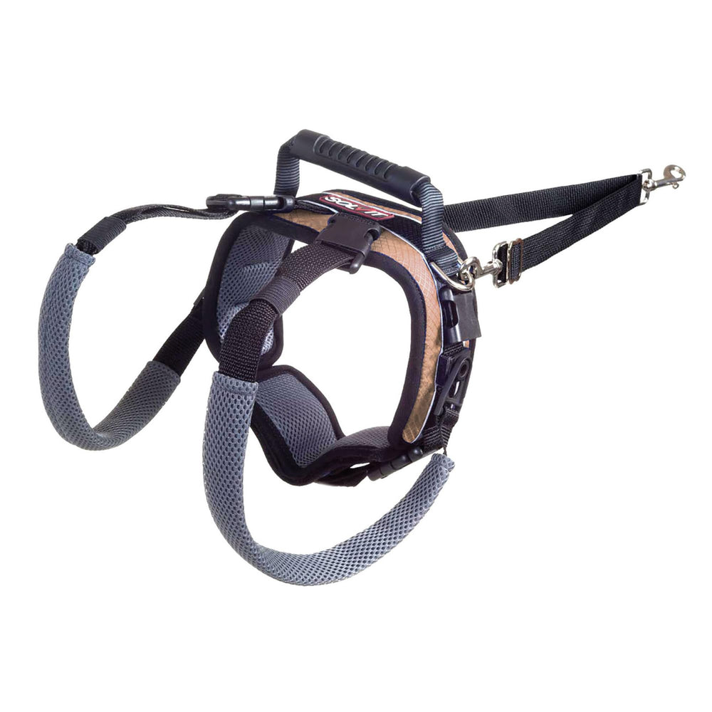 PetSafe CareLift harnais de soutien arrière pour chien âgé, déplacement facilité.