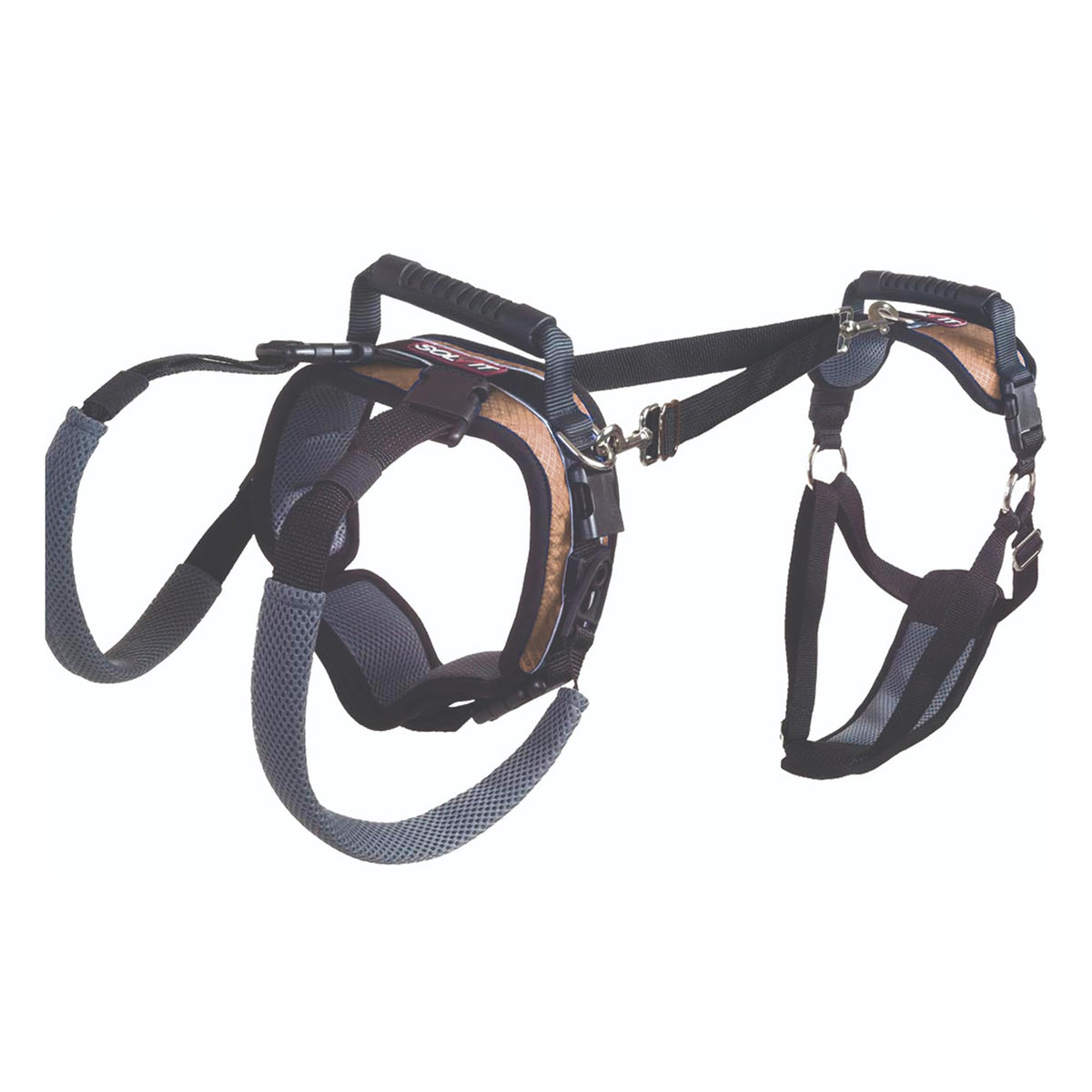 Harnais PetSafe CareLift offrant un soutien corporel complet pour chiens en mobilité réduite.