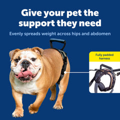PetSafe CareLift maille respirante pour un port confortable.