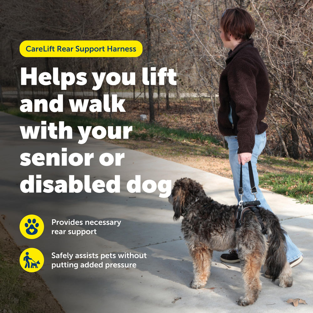 PetSafe CareLift avec poignées de levage pour aider les promenades.