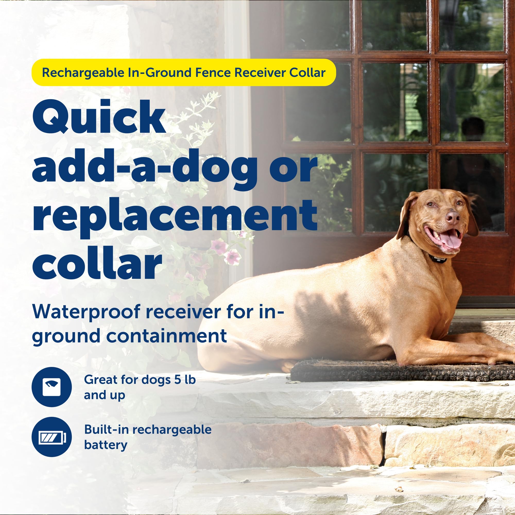 PetSafe collier rechargeable etanche, prêt pour les activités en plein air.